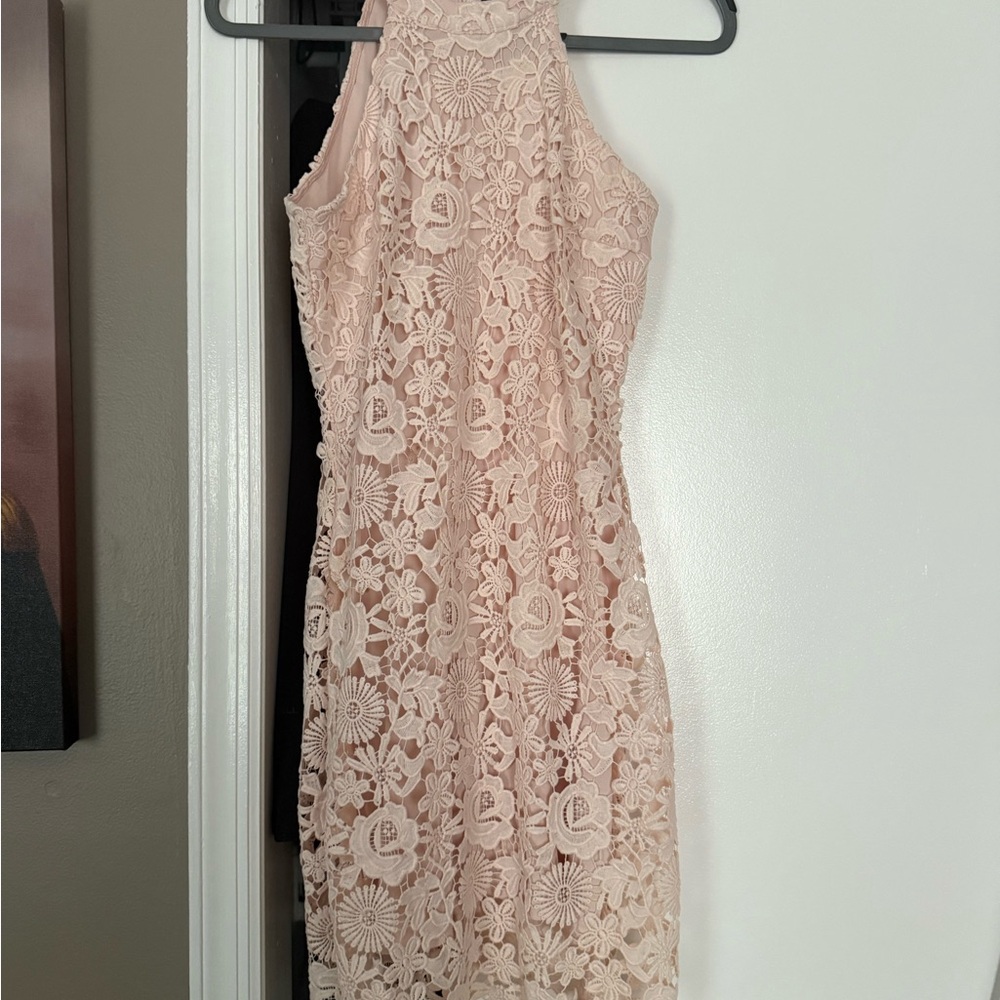 Lulu's Blush Floral Lace Backless Dress